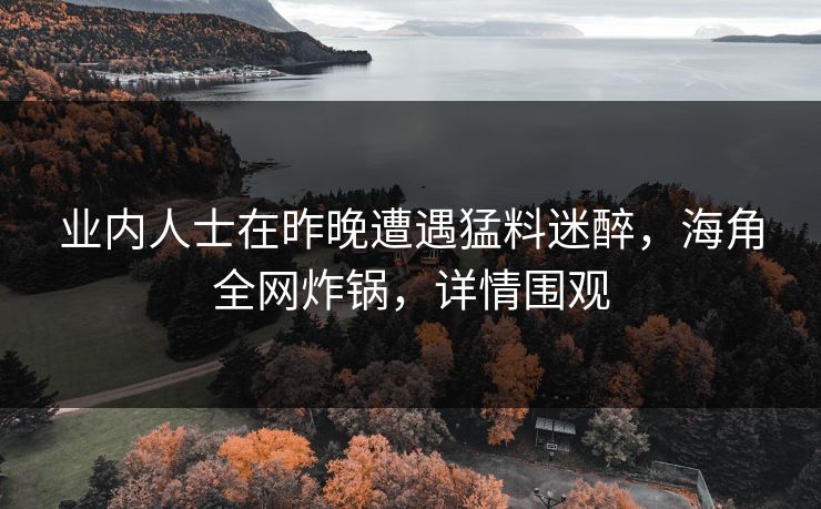 业内人士在昨晚遭遇猛料迷醉，海角全网炸锅，详情围观