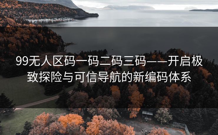 99无人区码一码二码三码——开启极致探险与可信导航的新编码体系