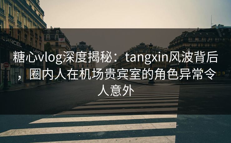 糖心vlog深度揭秘：tangxin风波背后，圈内人在机场贵宾室的角色异常令人意外