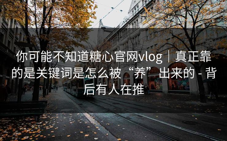 你可能不知道糖心官网vlog｜真正靠的是关键词是怎么被“养”出来的 - 背后有人在推