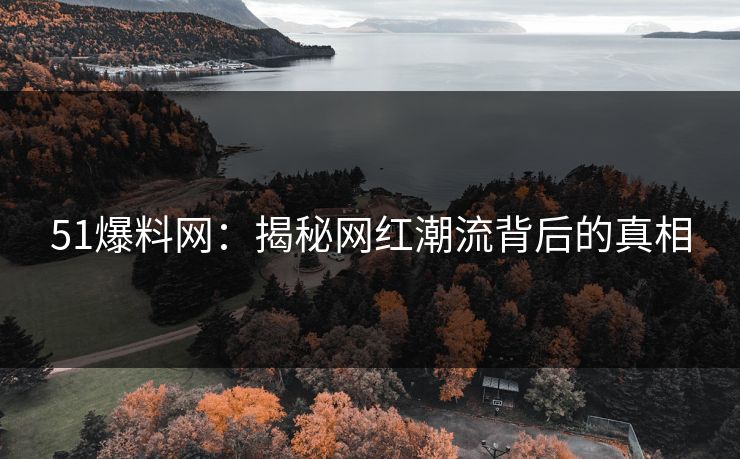 51爆料网：揭秘网红潮流背后的真相